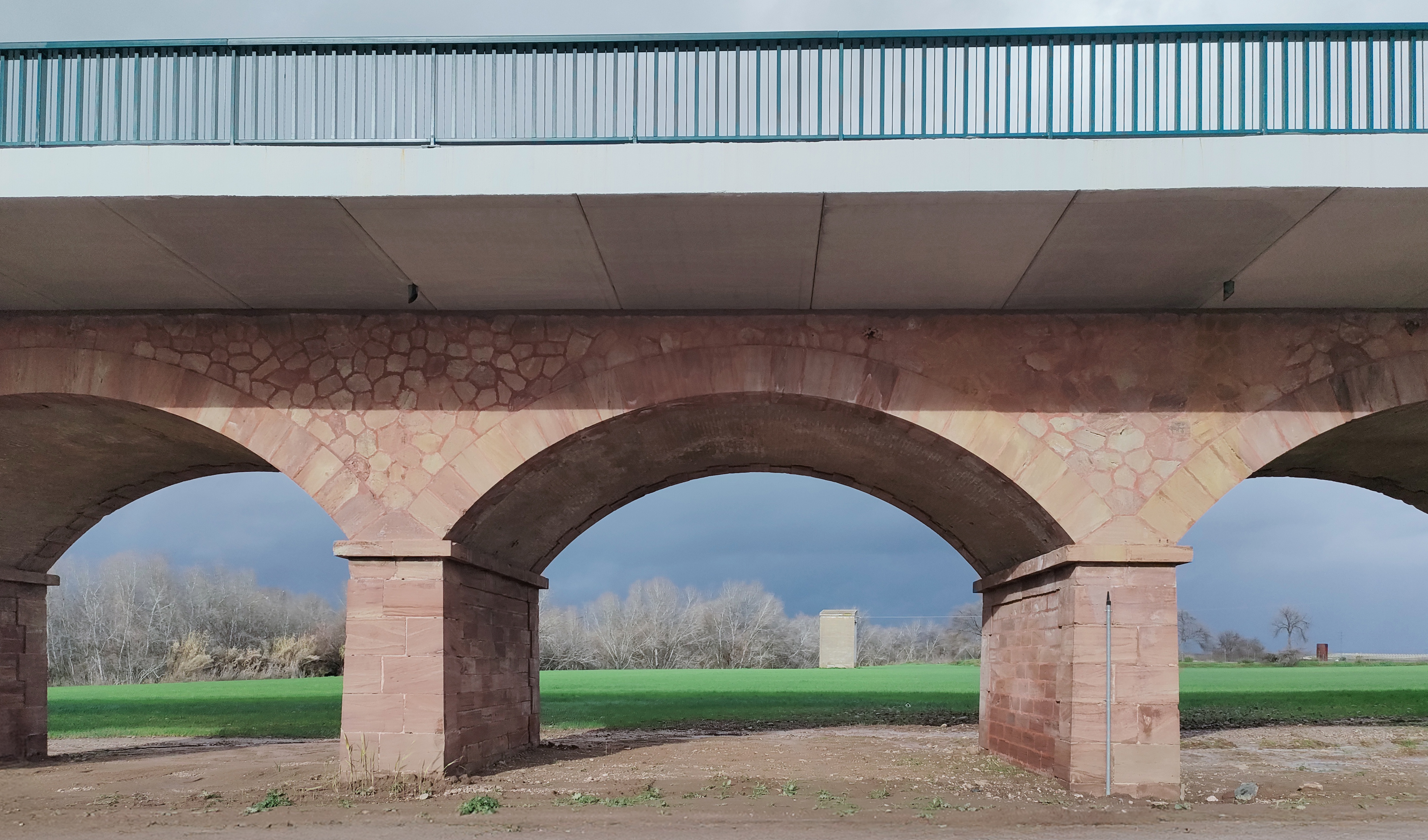 IMG20260127162354 fly_10871.jpg